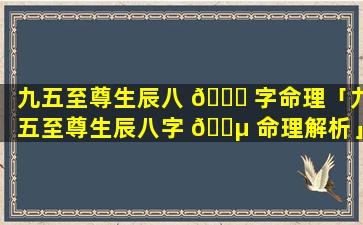 九五至尊生辰八 🐕 字命理「九五至尊生辰八字 🐵 命理解析」